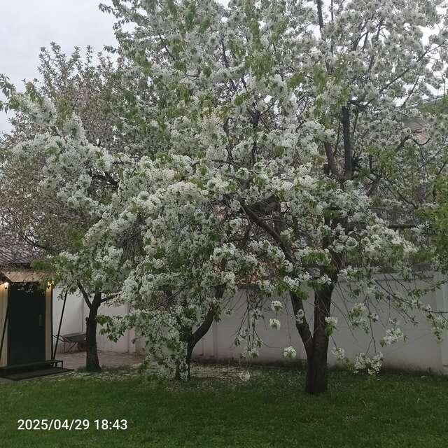 Гостевой дом Центральная усадьба Коломна-95